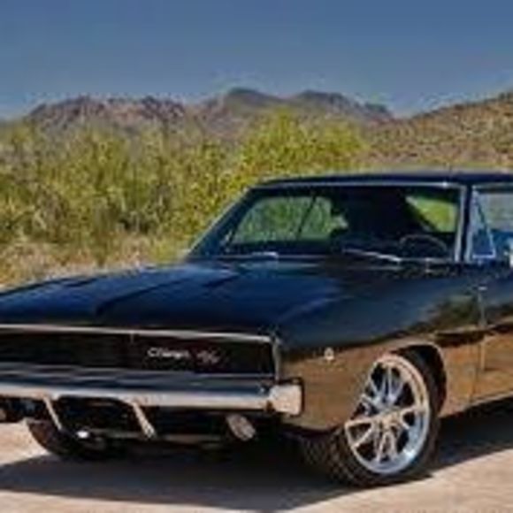 Meet your Posher, Troy - Picture 1 of 1